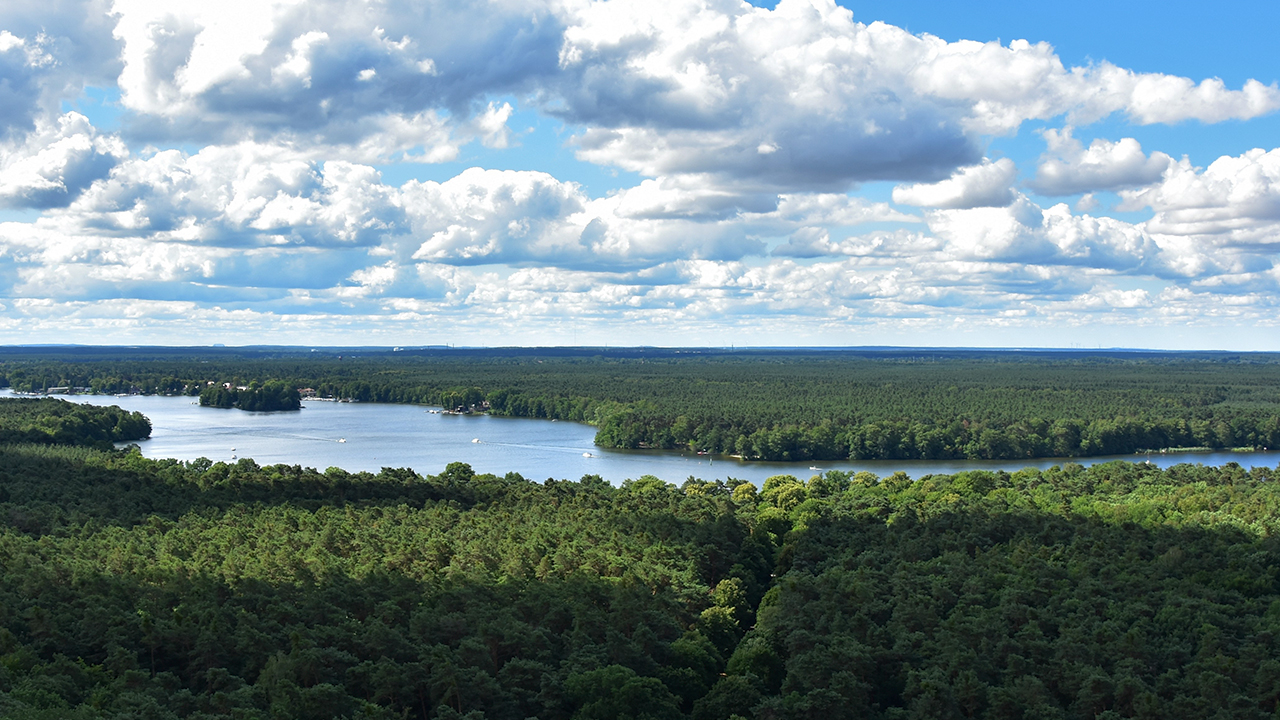 Spreekrone au dem Wannsee